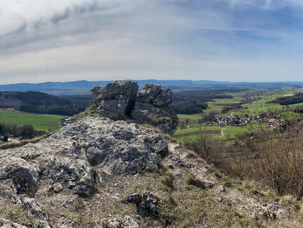 25-03-21 12-13-26 2477